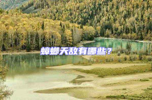 蟑螂天敵有哪些?
