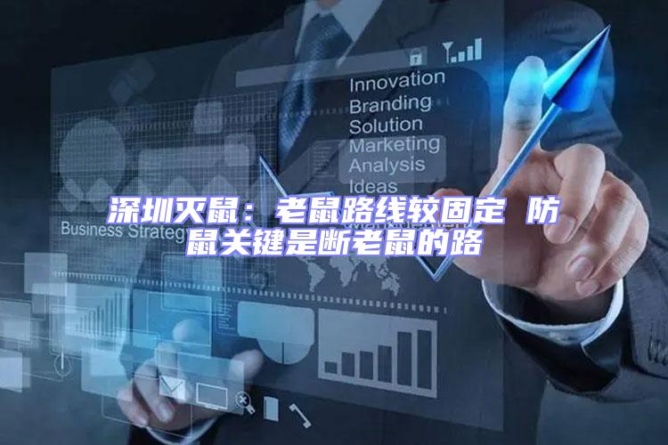 深圳滅鼠:老鼠路線較固定 防鼠關鍵是斷老鼠的路