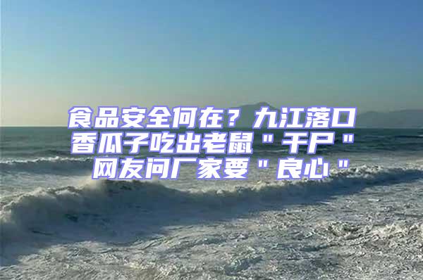 食品安全何在?九江落口香瓜子吃出老鼠"干尸" 網友問廠家要"良心"