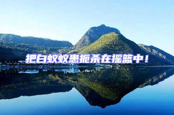 把白蟻蟻患扼殺在搖籃中!