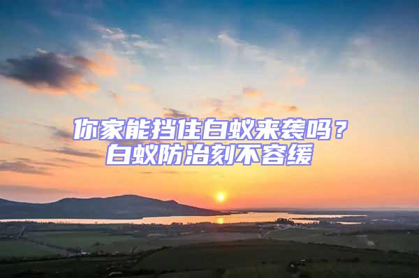 你家能擋住白蟻來(lái)襲嗎?白蟻防治刻不容緩