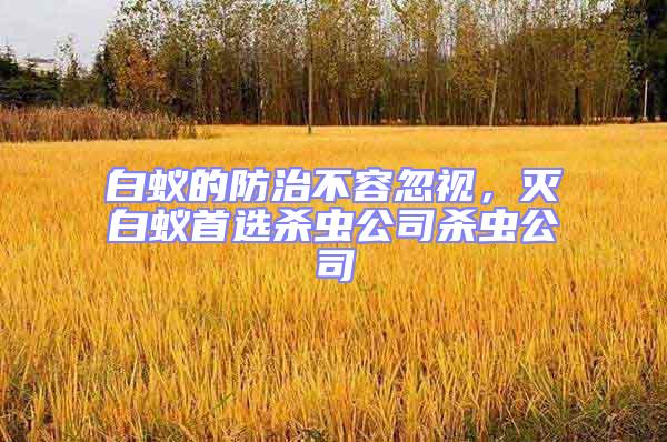 白蟻的防治不容忽視,滅白蟻首選殺蟲公司殺蟲公司