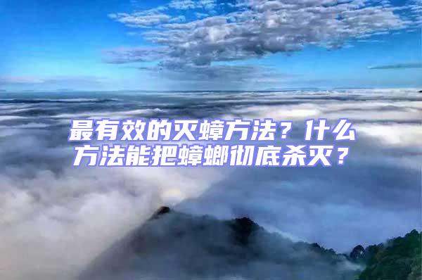 最有效的滅蟑方法?什么方法能把蟑螂徹底殺滅?