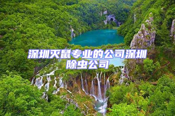 深圳滅鼠專業(yè)的公司深圳除蟲公司