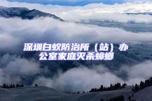 深圳白蟻防治所(站)辦公室家庭滅殺蟑螂