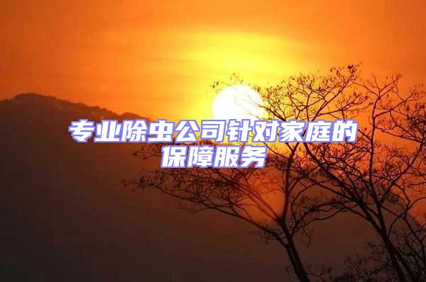 專業(yè)除蟲(chóng)公司針對(duì)家庭的保障服務(wù)