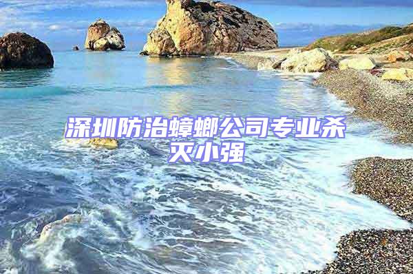 深圳防治蟑螂公司專業(yè)殺滅小強