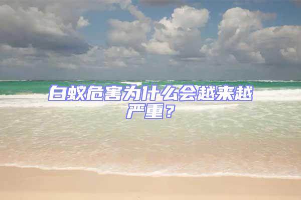白蟻危害為什么會越來越嚴重?