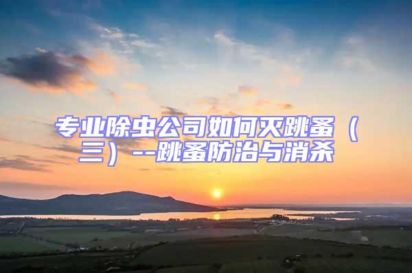 專業(yè)除蟲公司如何滅跳蚤(三)--跳蚤防治與消殺