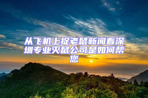 從飛機上捉老鼠新聞看深圳專業(yè)滅鼠公司是如何幫您