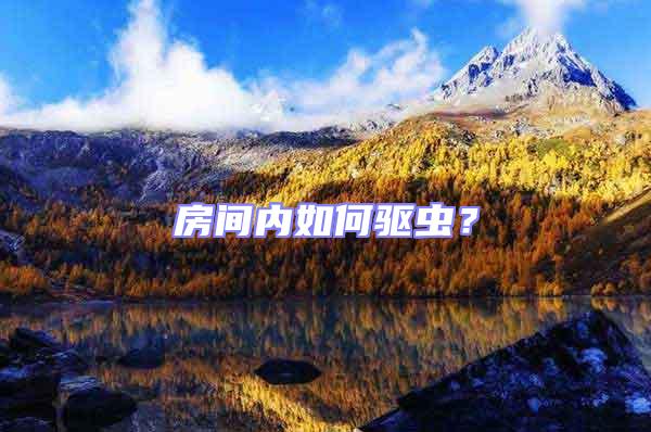 房間內如何驅蟲？