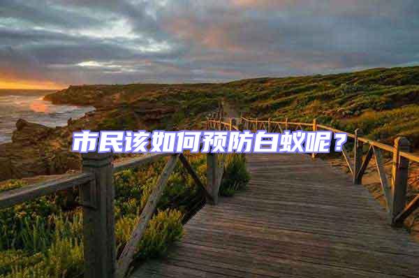 市民該如何預(yù)防白蟻呢？