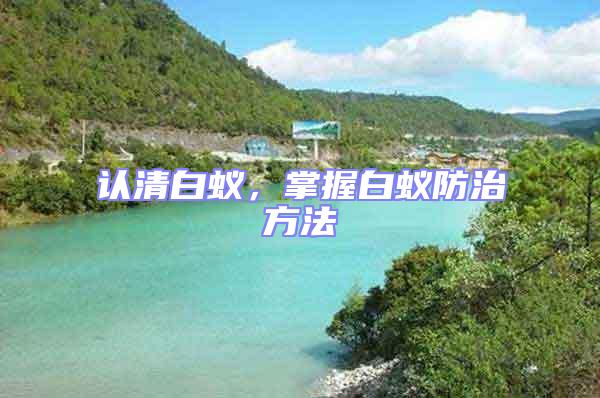 認(rèn)清白蟻，掌握白蟻防治方法