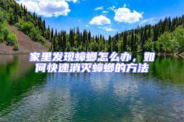 家里發(fā)現(xiàn)蟑螂怎么辦，如何快速消滅蟑螂的方法