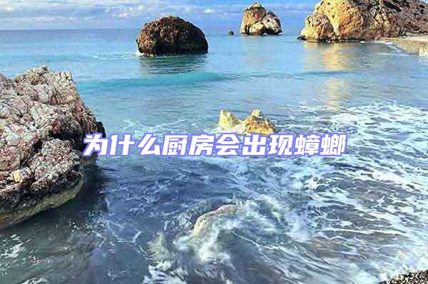 為什么廚房會(huì)出現(xiàn)蟑螂