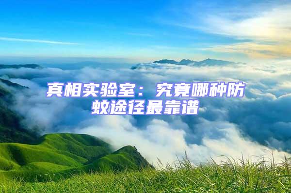 真相實驗室:究竟哪種防蚊途徑最靠譜