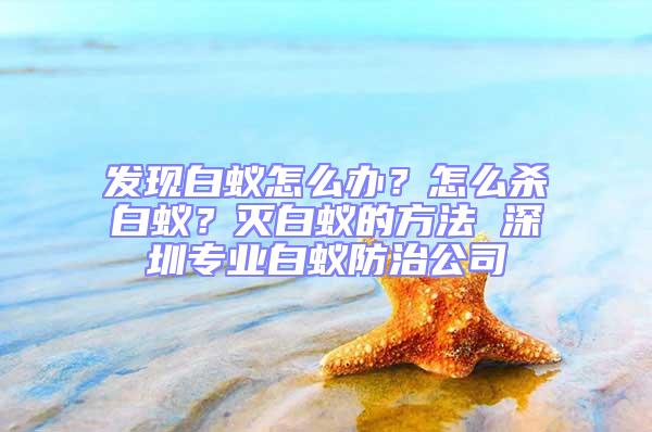 發現白蟻怎么辦?怎么殺白蟻?滅白蟻的方法 深圳專業白蟻防治公司