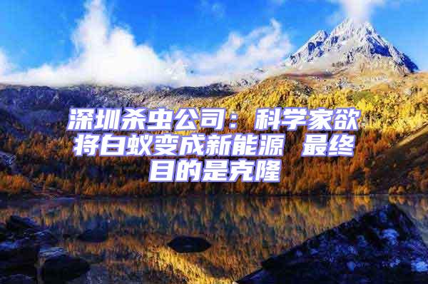 深圳殺蟲公司:科學家欲將白蟻變成新能源 最終目的是克隆