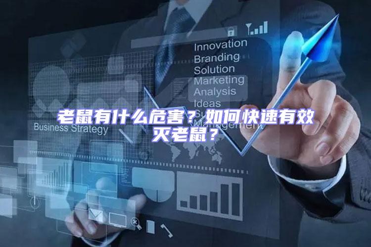 老鼠有什么危害?如何快速有效滅老鼠?