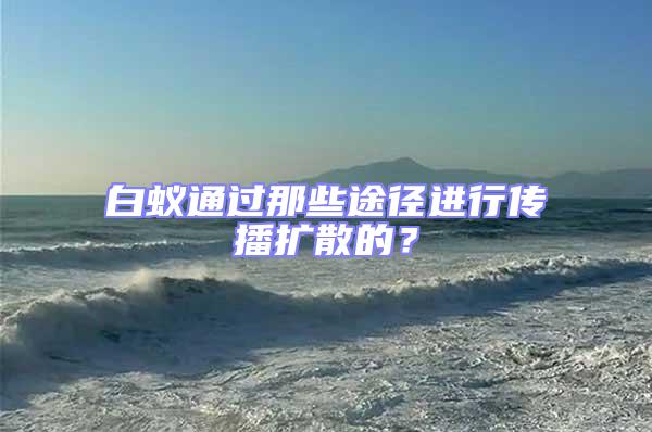 白蟻通過(guò)那些途徑進(jìn)行傳播擴(kuò)散的?