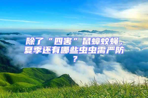 除了“四害”鼠蟑蚊蠅,夏季還有哪些蟲蟲需嚴防?