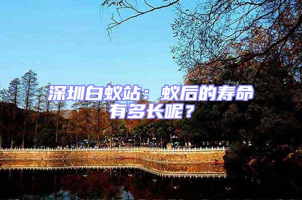 深圳白蟻站：蟻后的壽命有多長(zhǎng)呢？
