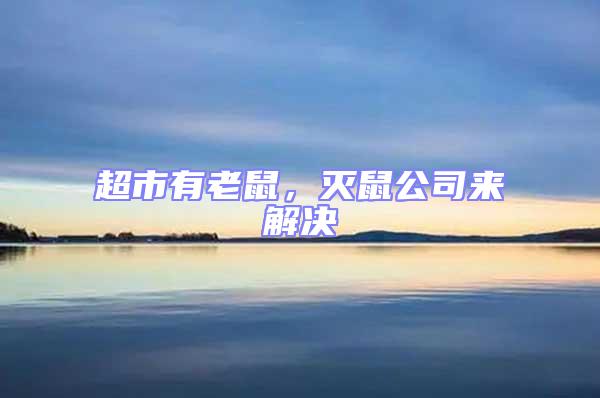 超市有老鼠，滅鼠公司來解決