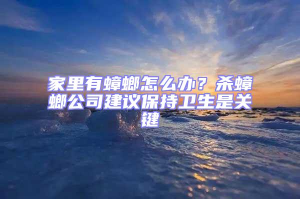 家里有蟑螂怎么辦？殺蟑螂公司建議保持衛(wèi)生是關(guān)鍵