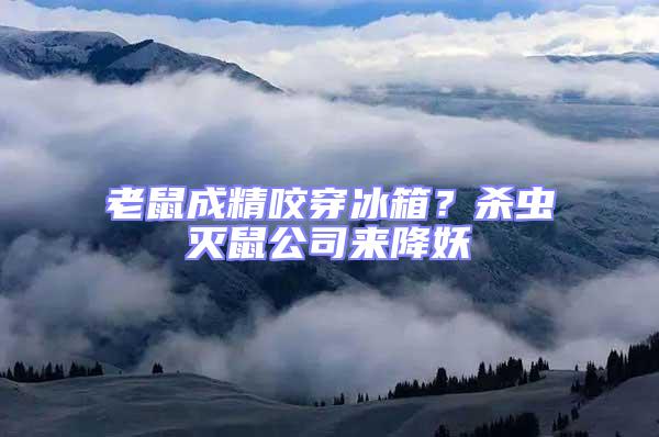 老鼠成精咬穿冰箱?殺蟲(chóng)滅鼠公司來(lái)降妖
