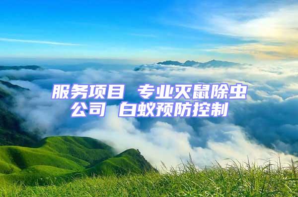 服務(wù)項目 專業(yè)滅鼠除蟲公司 白蟻預(yù)防控制