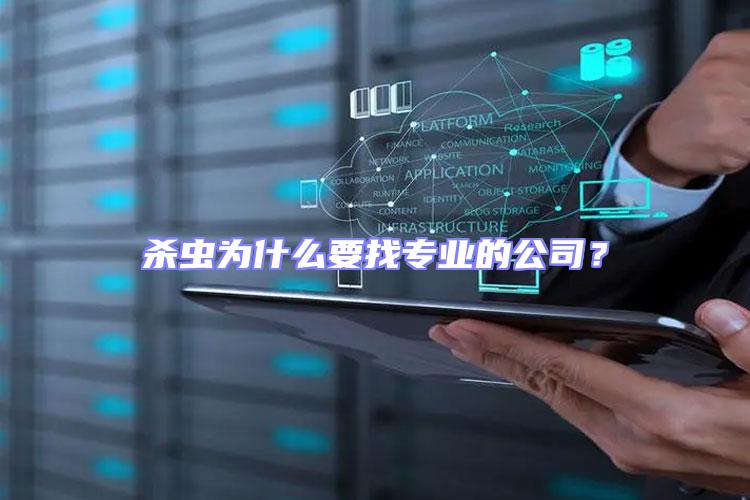 殺蟲為什么要找專業的公司?