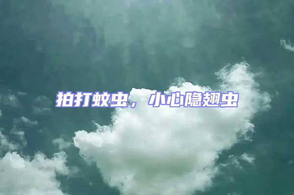 拍打蚊蟲，小心隱翅蟲
