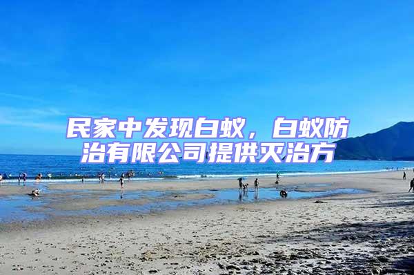 民家中發(fā)現(xiàn)白蟻，白蟻防治有限公司提供滅治方