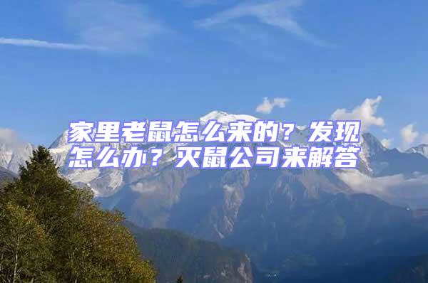 家里老鼠怎么來的?發現怎么辦?滅鼠公司來解答