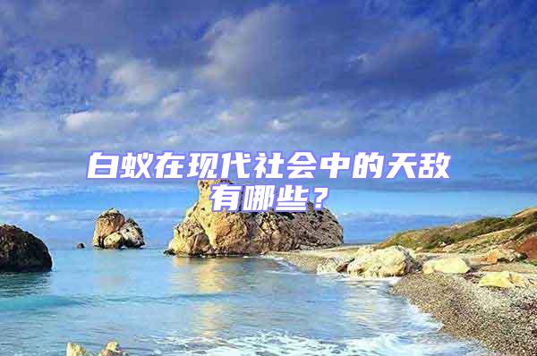 白蟻在現(xiàn)代社會中的天敵有哪些?