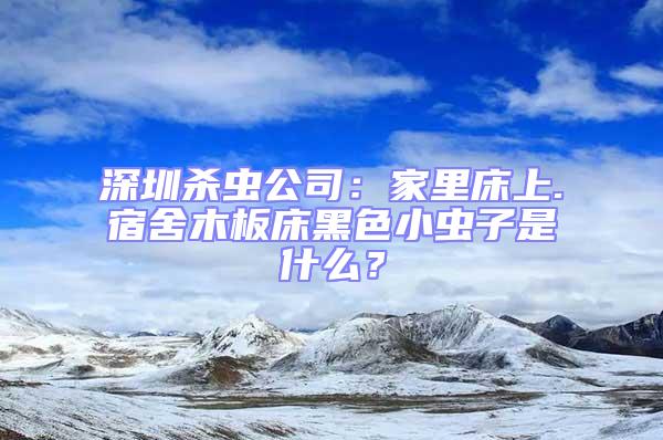 深圳殺蟲公司：家里床上.宿舍木板床黑色小蟲子是什么？
