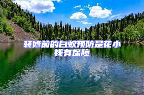 裝修前的白蟻預(yù)防是花小錢有保障