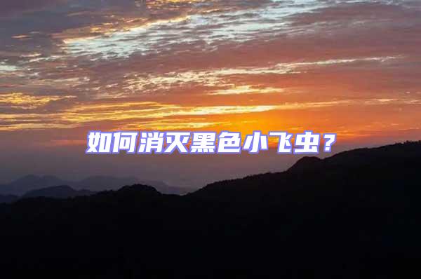 如何消滅黑色小飛蟲？