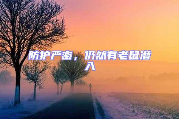 防護(hù)嚴(yán)密,仍然有老鼠潛入