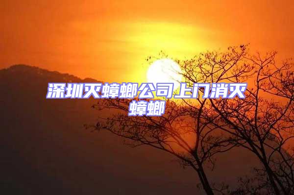 深圳滅蟑螂公司上門(mén)消滅蟑螂