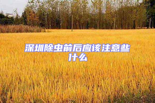 深圳除蟲(chóng)前后應(yīng)該注意些什么