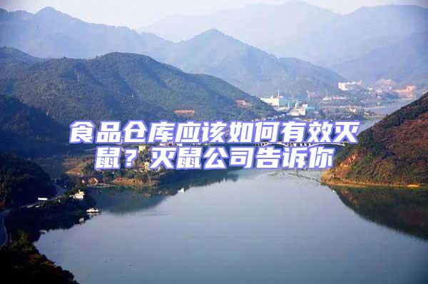 食品倉庫應該如何有效滅鼠？滅鼠公司告訴你