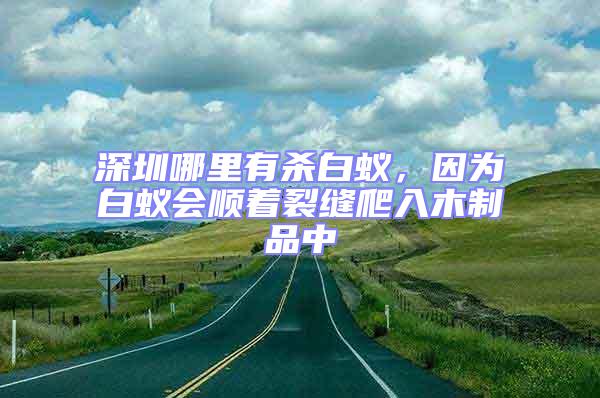 深圳哪里有殺白蟻,因為白蟻會順著裂縫爬入木制品中