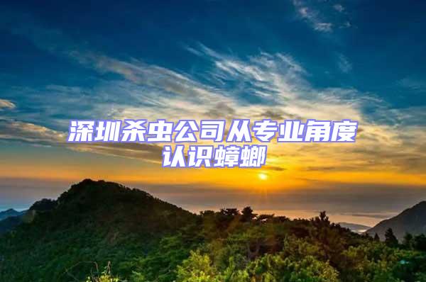 深圳殺蟲公司從專業角度認識蟑螂