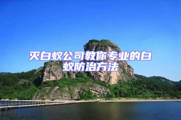 滅白蟻公司教你專業(yè)的白蟻防治方法