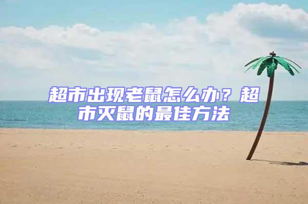 超市出現(xiàn)老鼠怎么辦?超市滅鼠的最佳方法