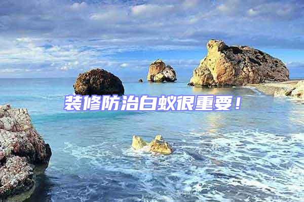 裝修防治白蟻很重要！