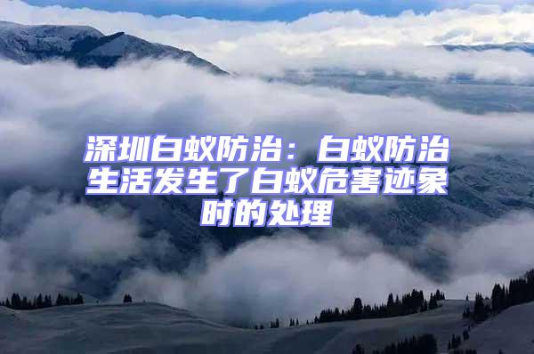 深圳白蟻防治:白蟻防治生活發生了白蟻危害跡象時的處理