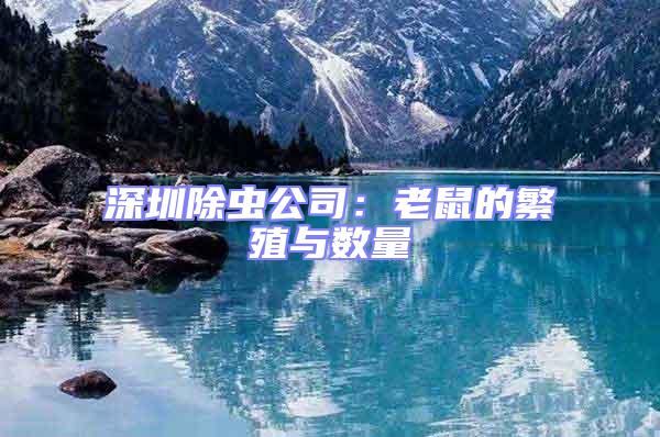深圳除蟲(chóng)公司:老鼠的繁殖與數(shù)量