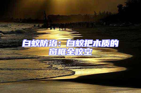 白蟻防治:白蟻把木質的窗框全咬空